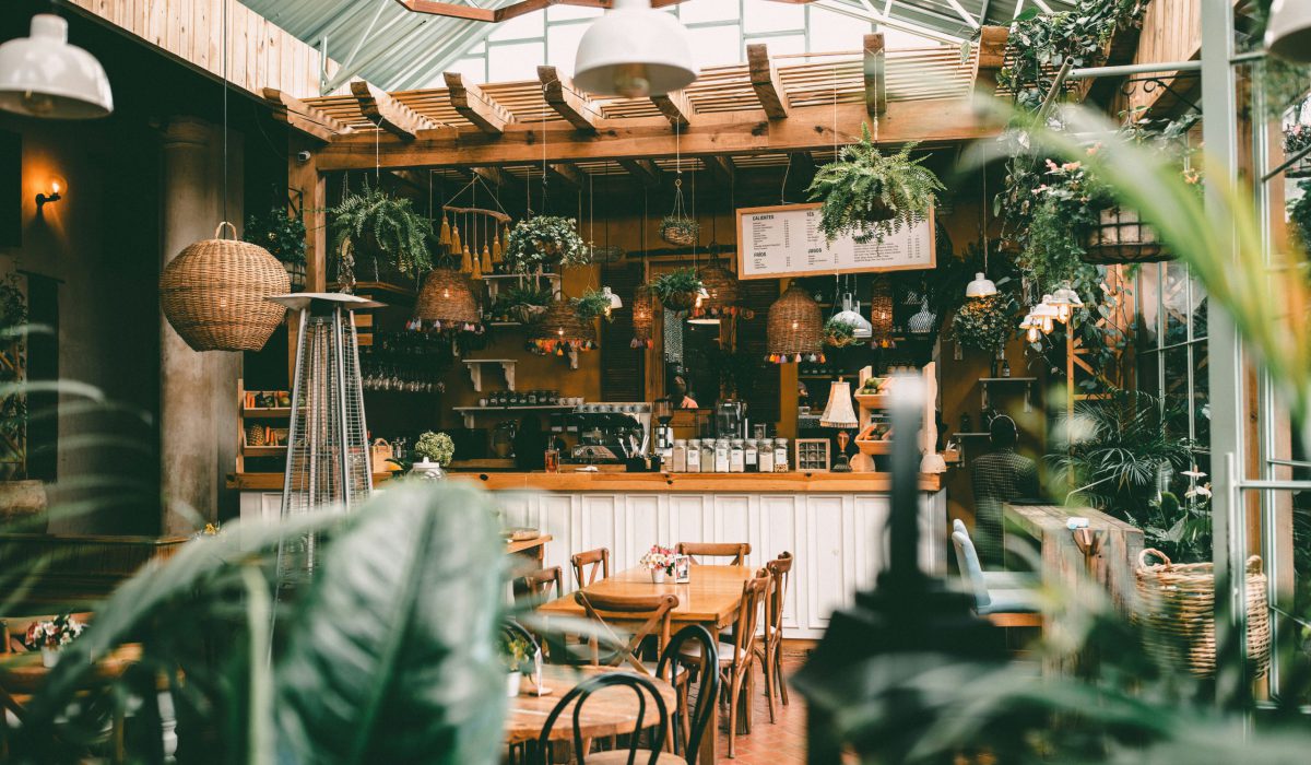 ruben-ramirez-xhKG01FN2uk-unsplash ruben-ramirez-xhKG01FN2uk-unsplash